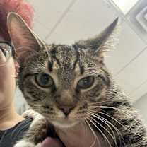 Thumbnail photo of Flora #2