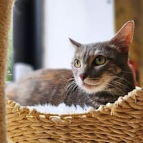 Thumbnail photo of Lena #1