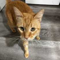 Thumbnail photo of Nadja #4