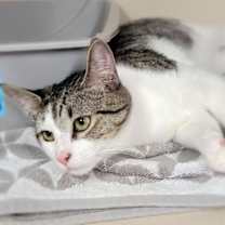 Thumbnail photo of Mr. Chi #2