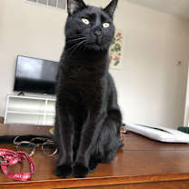 Thumbnail photo of Benjamin #1