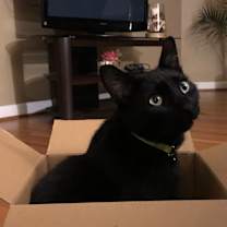 Thumbnail photo of Benjamin #2