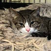 Thumbnail photo of Archer #2