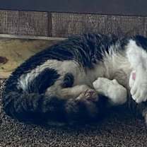 Thumbnail photo of Archer #3