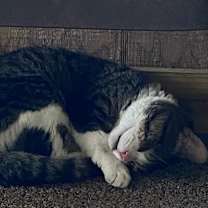 Thumbnail photo of Archer #4