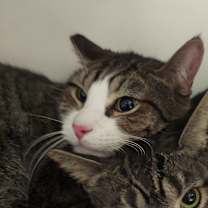 Thumbnail photo of Rocket #2