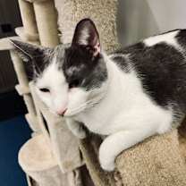 Thumbnail photo of Ravioli #3