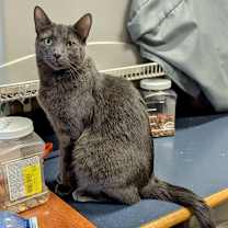 Thumbnail photo of Natalie #1