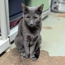 Thumbnail photo of Natalie #2