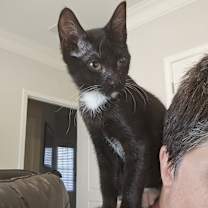 Thumbnail photo of Dopey #2