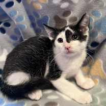 Thumbnail photo of Miles #2