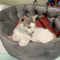 Thumbnail photo of Edith #2