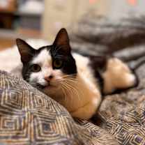 Thumbnail photo of Murphy Lee #1