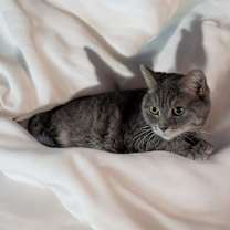 Thumbnail photo of Luna #2