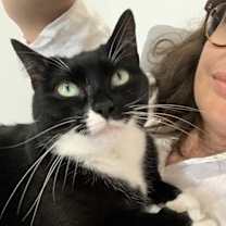 Thumbnail photo of Pugsley Addams #1