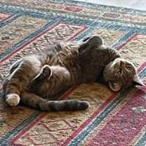 Thumbnail photo of Betty "Boo"  #2