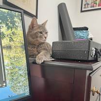 Thumbnail photo of Betty "Boo"  #4