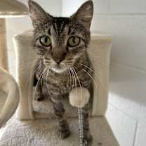 Thumbnail photo of Scarlett #1