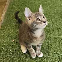 Thumbnail photo of Sleepy #3