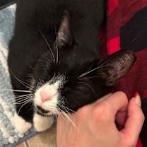 Thumbnail photo of Limbo #4