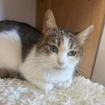 Thumbnail photo of Cindy Clawford #1