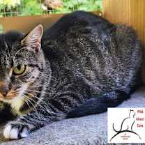 Thumbnail photo of Doodle #2