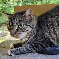 Thumbnail photo of Doodle #3