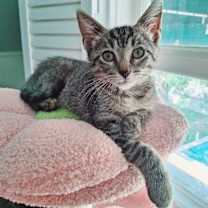 Thumbnail photo of Hector Faith #3