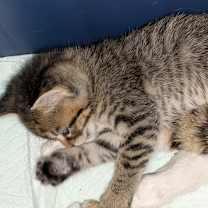 Thumbnail photo of Adrianna #2