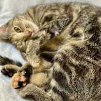 Thumbnail photo of Latavia #1