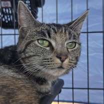 Thumbnail photo of Latavia #4