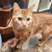 Thumbnail photo of Nicole #1