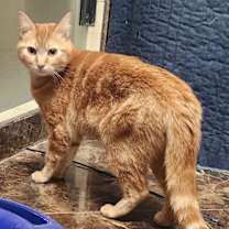 Thumbnail photo of Nicole #4