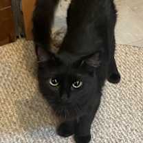 Thumbnail photo of Jasmine #2