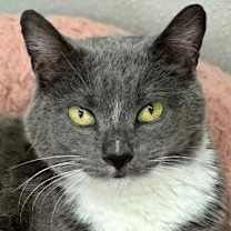 Thumbnail photo of Myrtle 383T #1