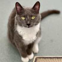 Thumbnail photo of Myrtle 383T #2