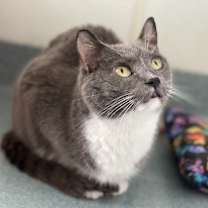 Thumbnail photo of Myrtle 383T #3