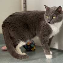 Thumbnail photo of Myrtle 383T #4