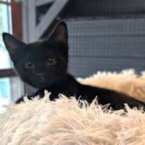 Thumbnail photo of Anisa #2