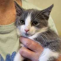 Thumbnail photo of Eenie #1