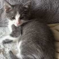 Thumbnail photo of Eenie #2