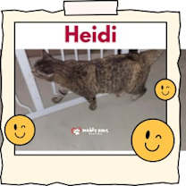 Thumbnail photo of Heidi (Courtesy Post) #3