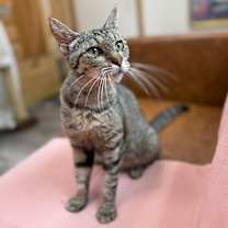 Thumbnail photo of Faith Montes #4