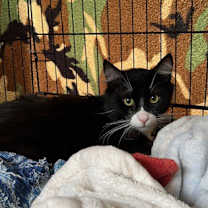 Thumbnail photo of Pete #2