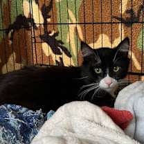 Thumbnail photo of Pete #3