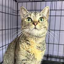 Thumbnail photo of Parish #2