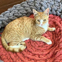 Thumbnail photo of Mina #1