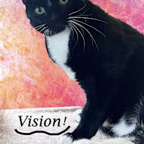 Thumbnail photo of VISION #3
