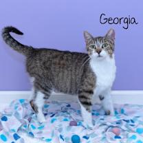 Thumbnail photo of Georgia #1