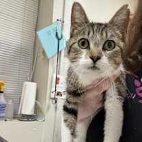 Thumbnail photo of Georgia #2